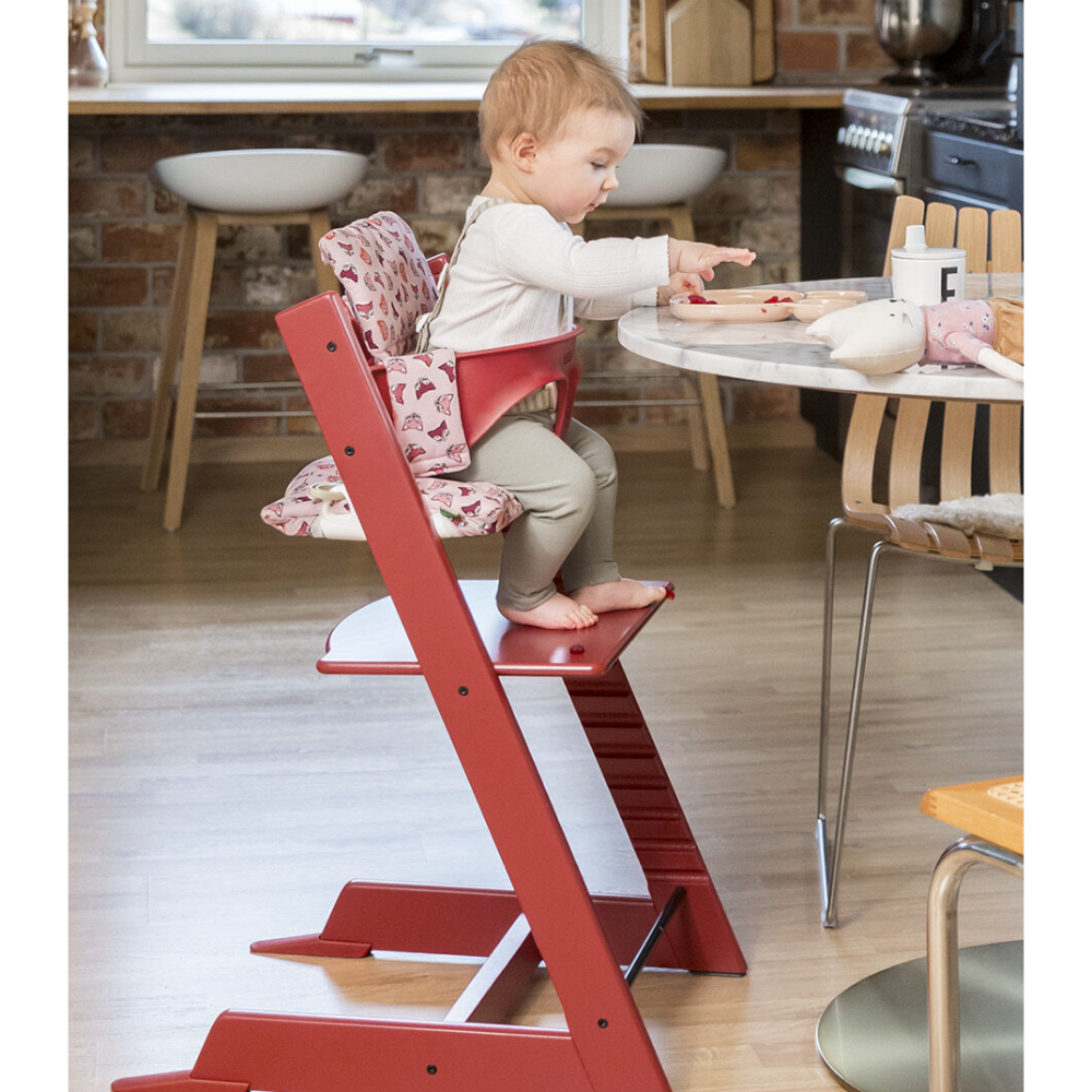 Stokke Tripp Trapp Baby Set1 – Converts Tripp Trapp Chair for Babies Months to Years, Includes Ergonomic Baby Set Gliders, Detachable,