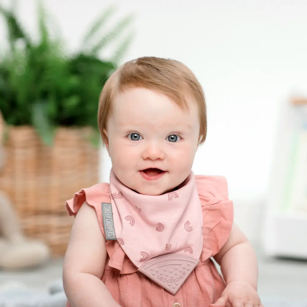 Cheeky Chompers Neckerchew for Babies &amp; Toddlers, Reversible Bib with Attached Silicone Teether, Super Absorbent, BPA-Free, 2–24 Months - Rainbow Rose