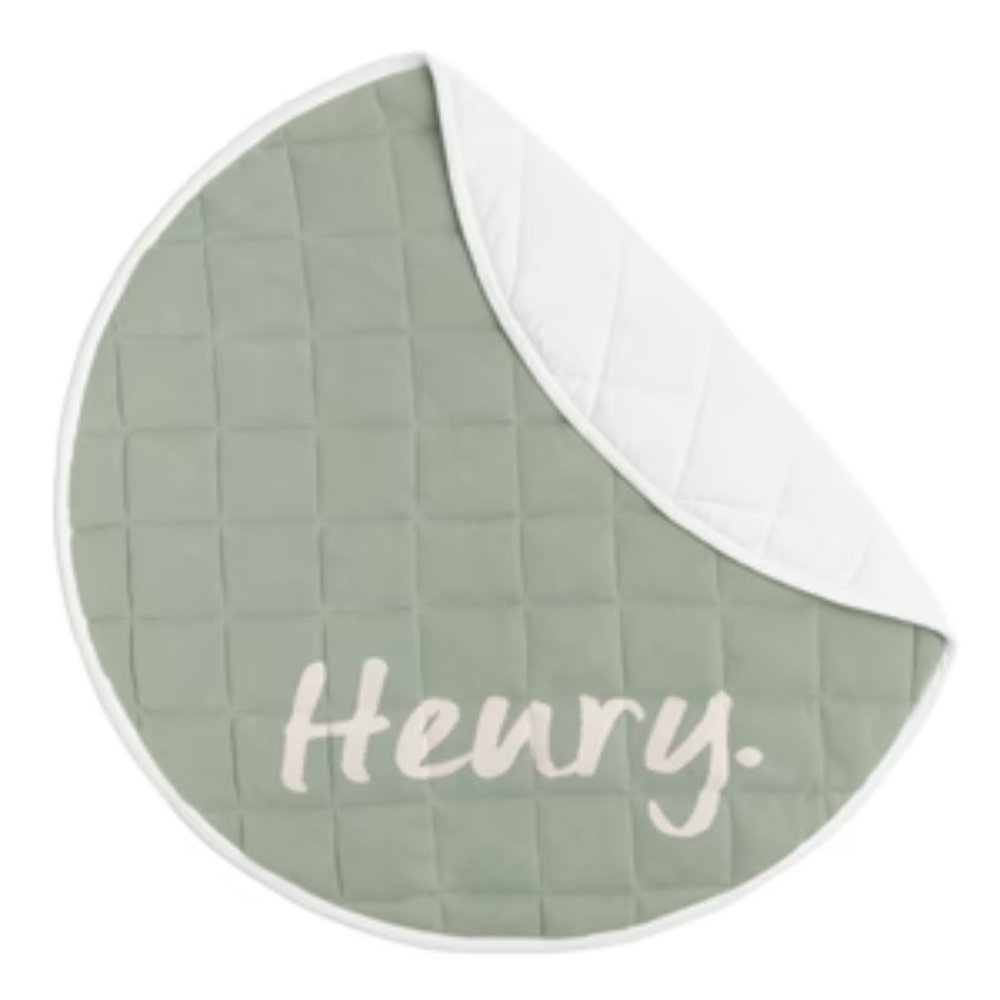 Lily Pad
