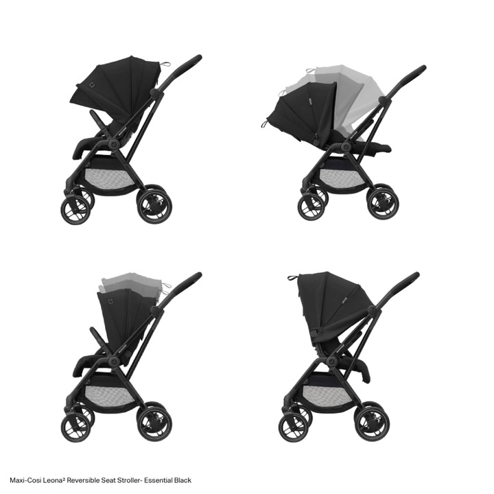 #color_Essential-Black
