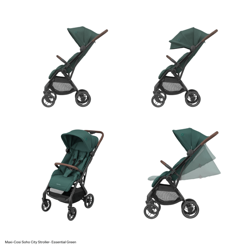 #color_Essential-Green