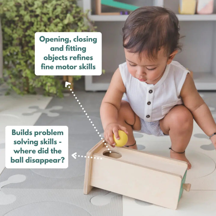 Curious Cub Montessori Box 5 | Developmental Sensory Toy Kit | Motor Skill &amp; Brain-Boosting Play Set | 9+ Months