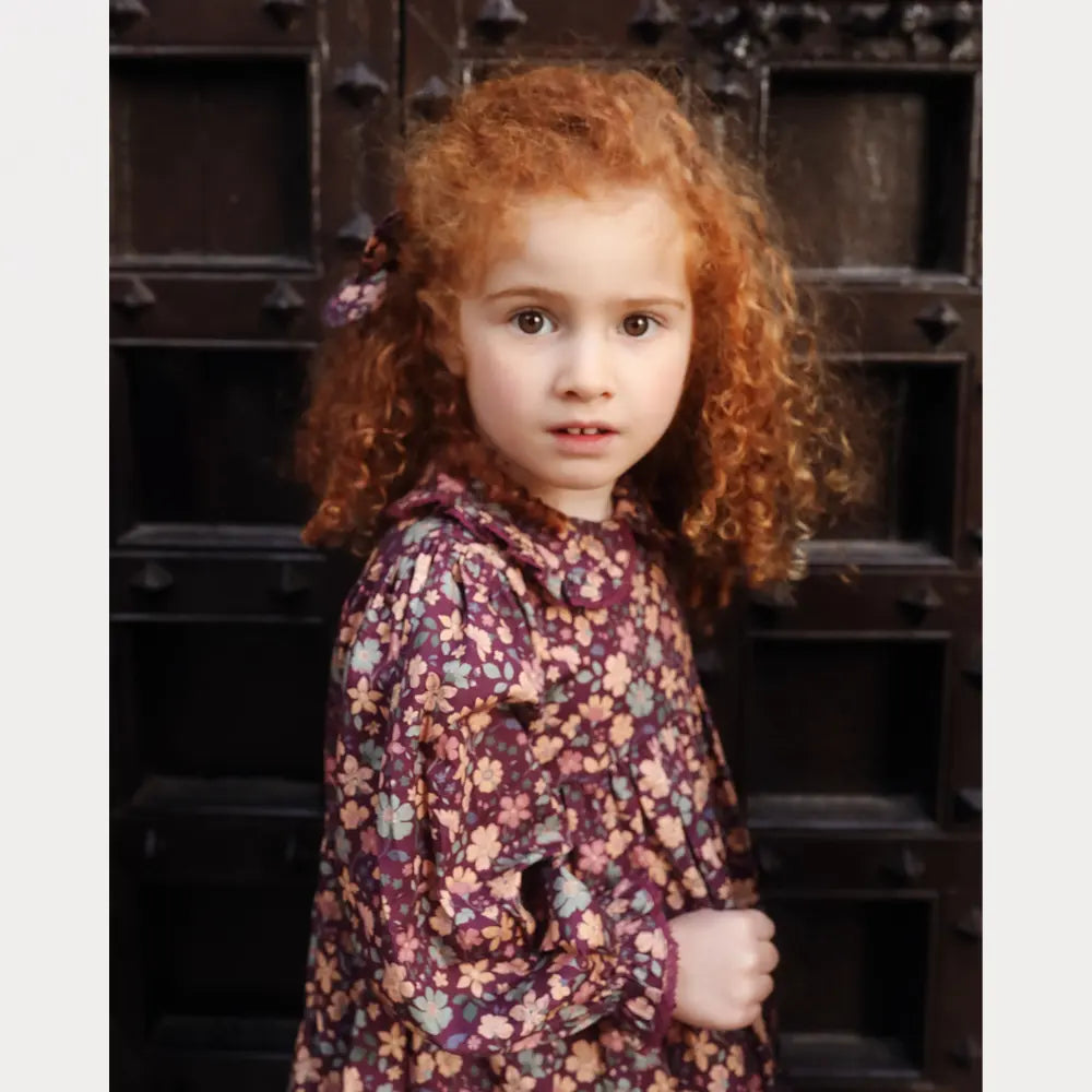 Early Sunday Marguerite Dress - Garden Flowers Plum