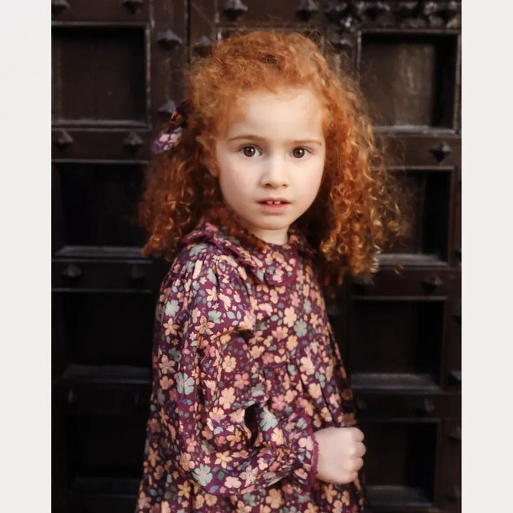 Early Sunday Marguerite Dress - Garden Flowers Plum