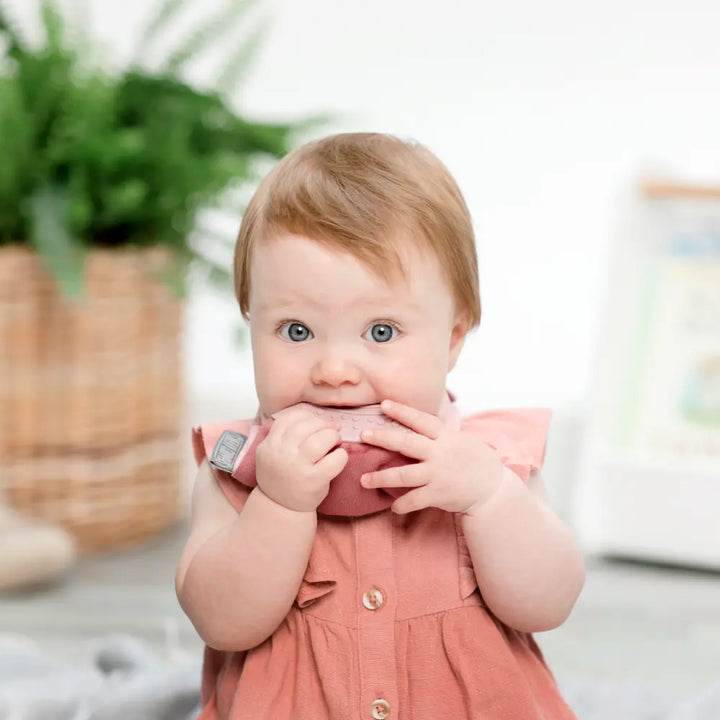Cheeky Chompers Neckerchew for Babies &amp; Toddlers, Reversible Bib with Attached Silicone Teether, Super Absorbent, BPA-Free, 2–24 Months - Rainbow Rose