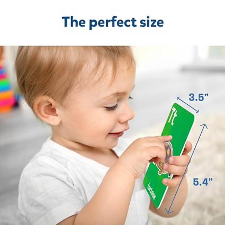 Skillmatics Flash Cards Combo