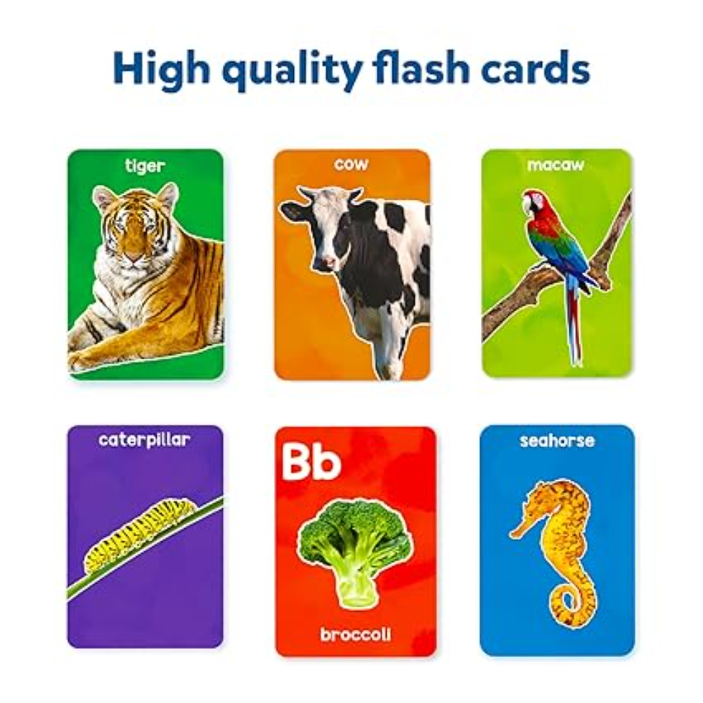 Skillmatics Flash Cards Combo