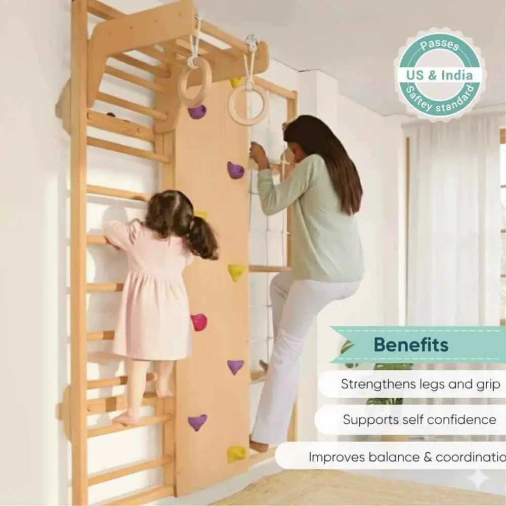 Curious Cub Wall Mounted Indoor Jungle Gym | Including 5 Activities - Monkey Bar, Rope Climbing, Rock Cimbing, Gymnastic Rings and Wooden Ladder | Active Play | Ages 2-9 Years