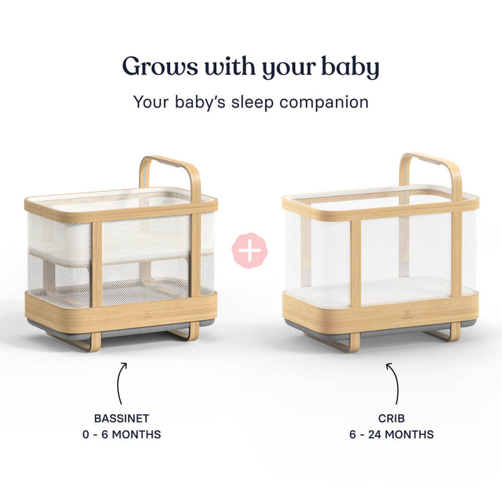 Cradlewise Smart Bassinet and Cot - Age 0-2 years, upto 15 kgs