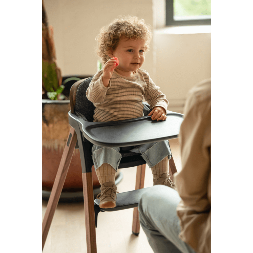 Nuna High Chair - Bryn Sanderson