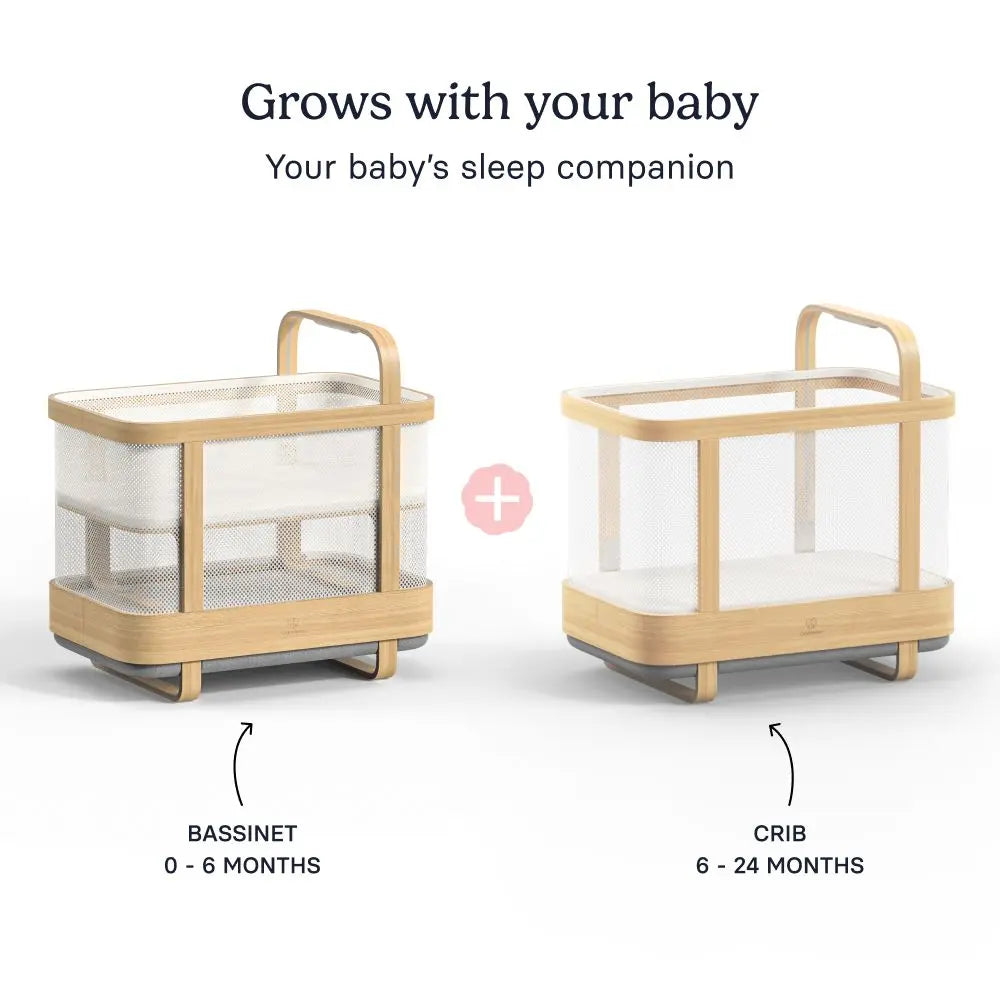 Cradlewise Smart Bassinet and Cot - Age 0-2 years, upto 15 kgs