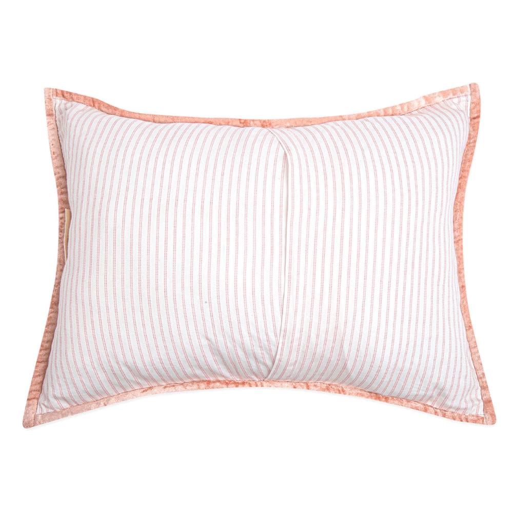 Crane Baby Velvet Pillow