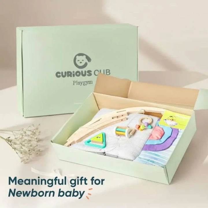 Curious Cub Wooden Baby Play Gym | 11-in-1 Montessori Activity Gym &amp; Playmat | Newborn Sensory Development Toy | 0-12 Months