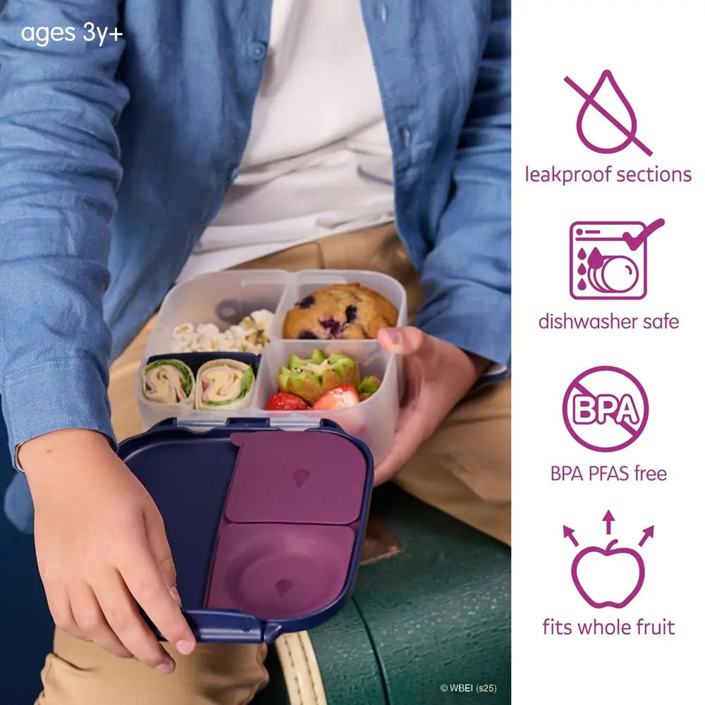 B.Box Warner Bros Harry Potter Mini Lunchbox for Kids – 1L Capacity, Adjustable Divider, Flexi Fruit Holder, BPA-Free – Multicolor