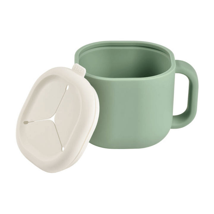 #color_sage-green