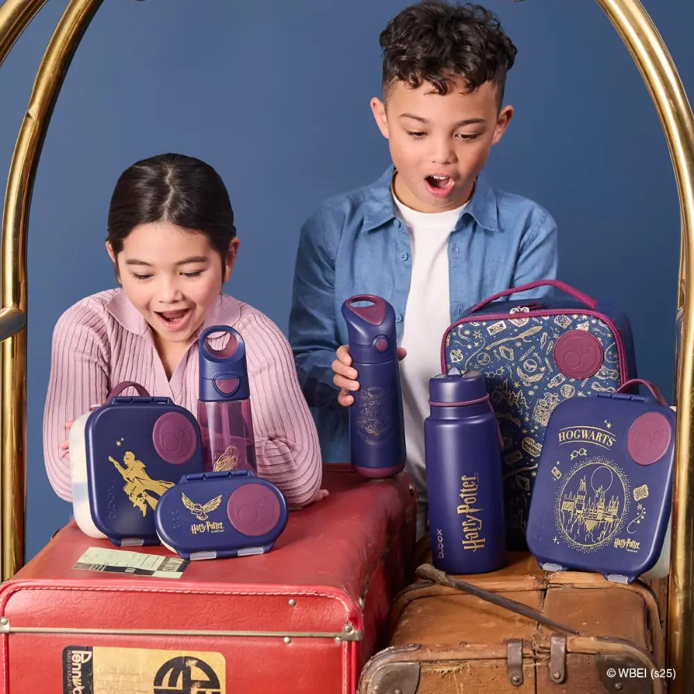 B.Box Warner Bros Harry Potter Flexi Insulated Lunch Bag for Kids – Lightweight, Easy to Carry, BPA-Free – Multicolor