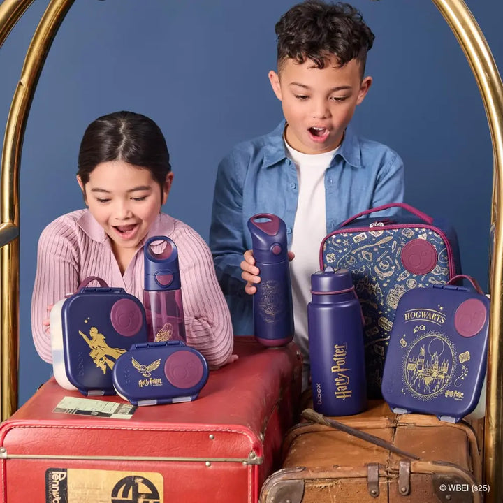 B.Box Warner Bros Harry Potter Flexi Insulated Lunch Bag for Kids – Lightweight, Easy to Carry, BPA-Free – Multicolor