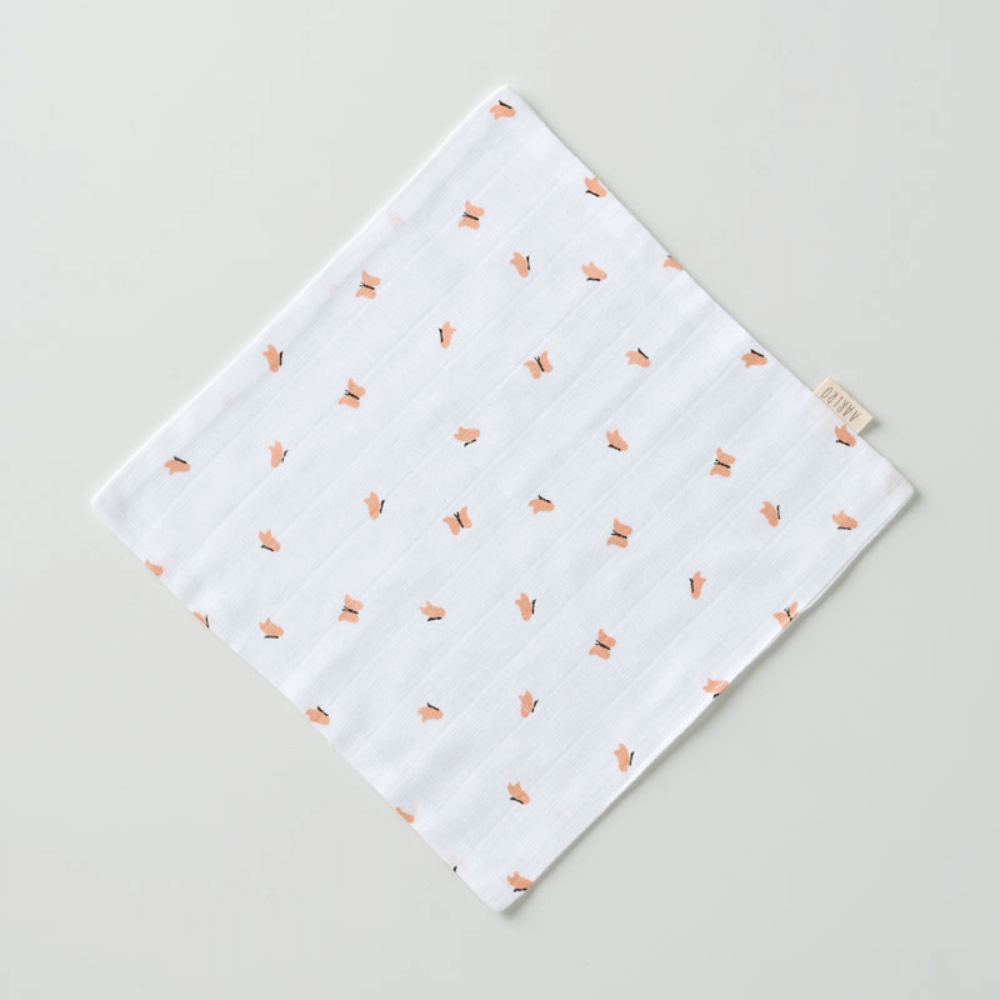 Aariro Muslin Washcloth - Set of 2