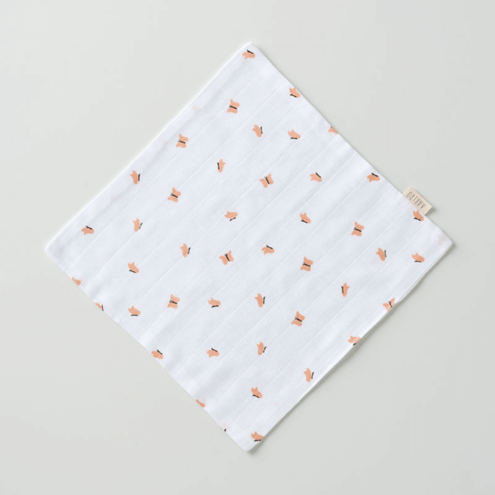 Aariro Muslin Washcloth - Set of 2