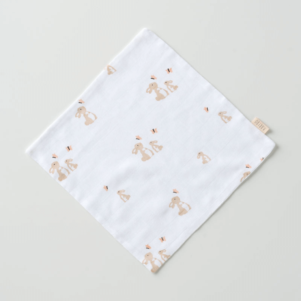 Aariro Muslin Washcloth - Set of 2