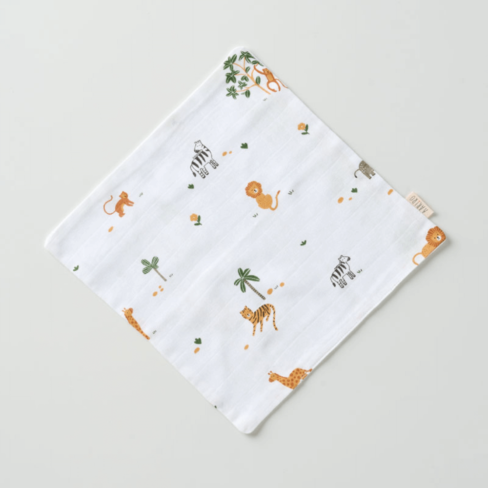 Aariro Muslin Washcloth - Set of 2