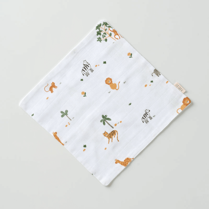 Aariro Muslin Washcloth - Set of 2