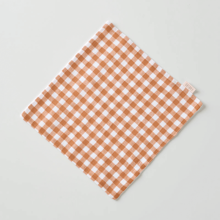 Aariro Muslin Washcloth - Set of 2