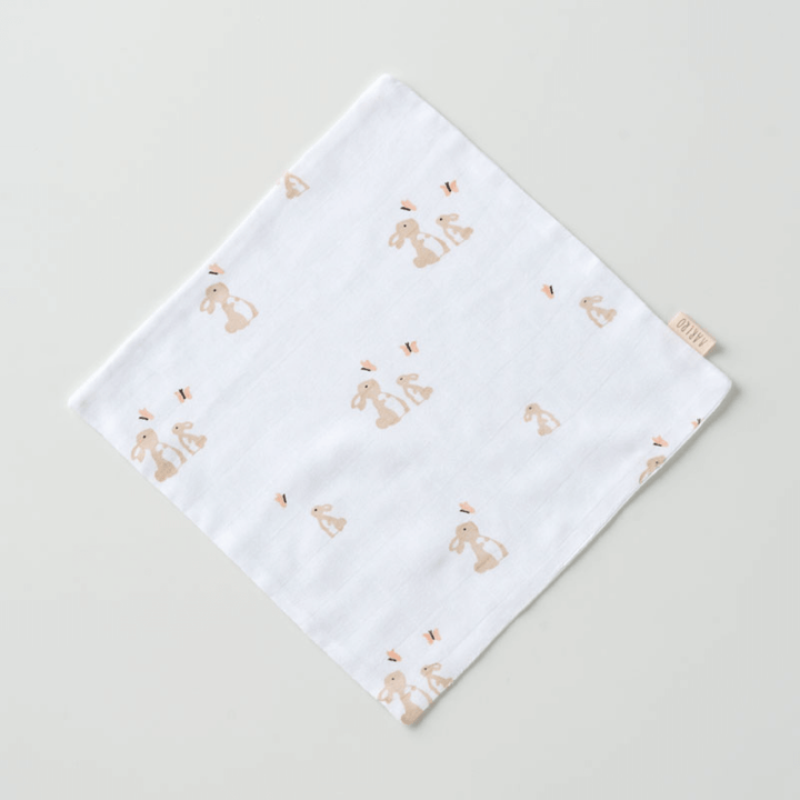 Aariro Muslin Washcloth - Set of 3