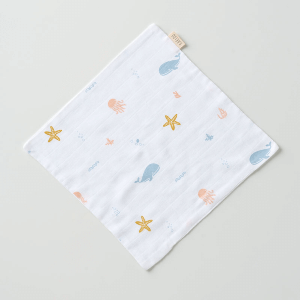 Aariro Muslin Washcloth - Set of 3