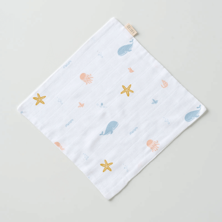 Aariro Muslin Washcloth - Set of 3