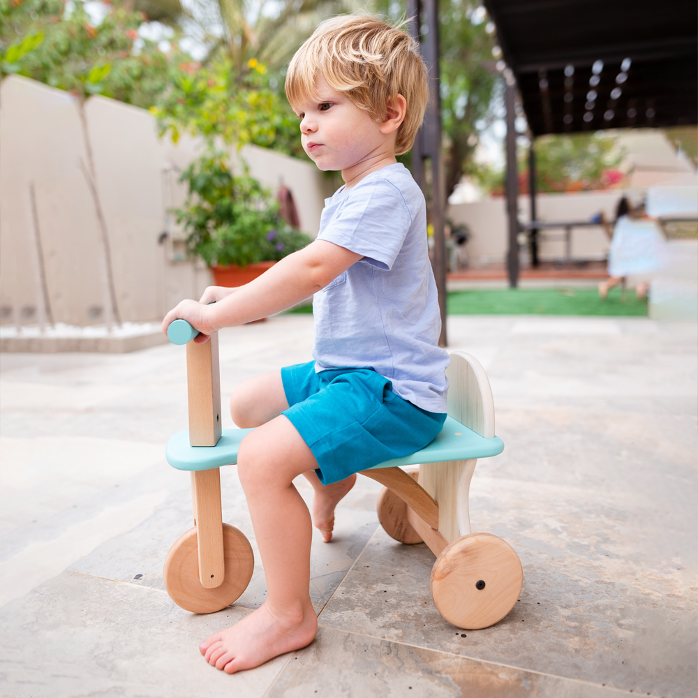 Ariro Tuk Tuk - The Tricycle