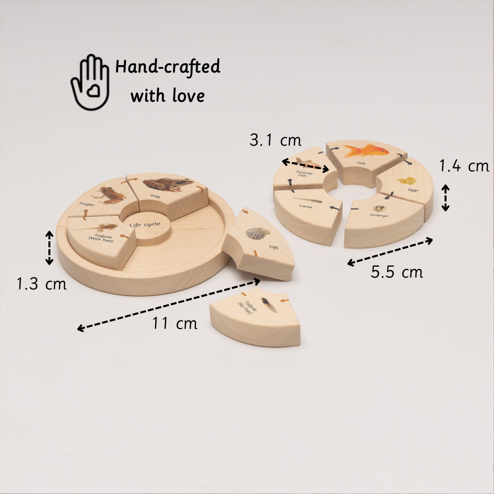 Ariro Life Cycle Puzzle - Oviparous