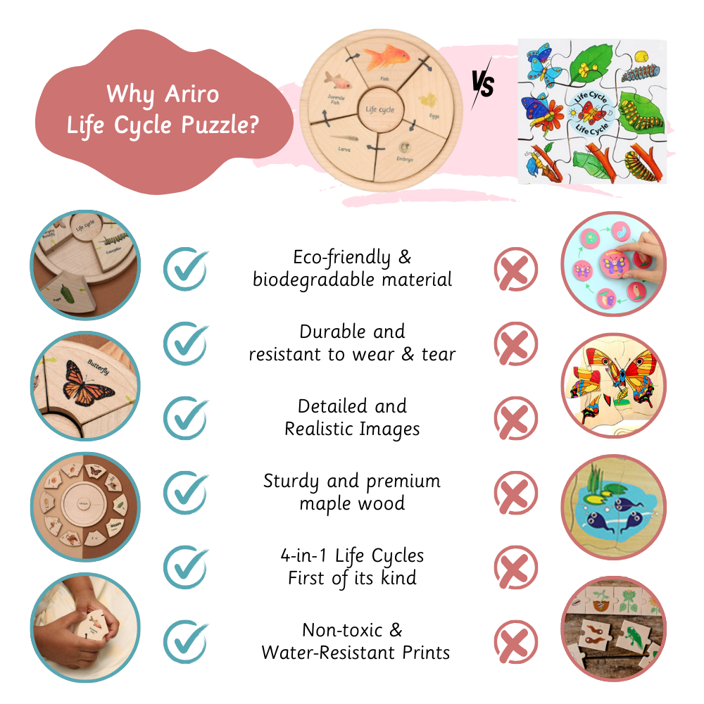 Ariro Life Cycle Puzzle - Oviparous