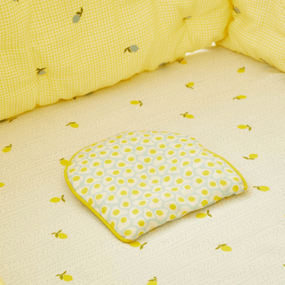 Annasimona Kids Adventure &amp; Travel Inspired Mustard Seed Pillows