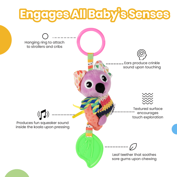 Nuluv Activity Koala