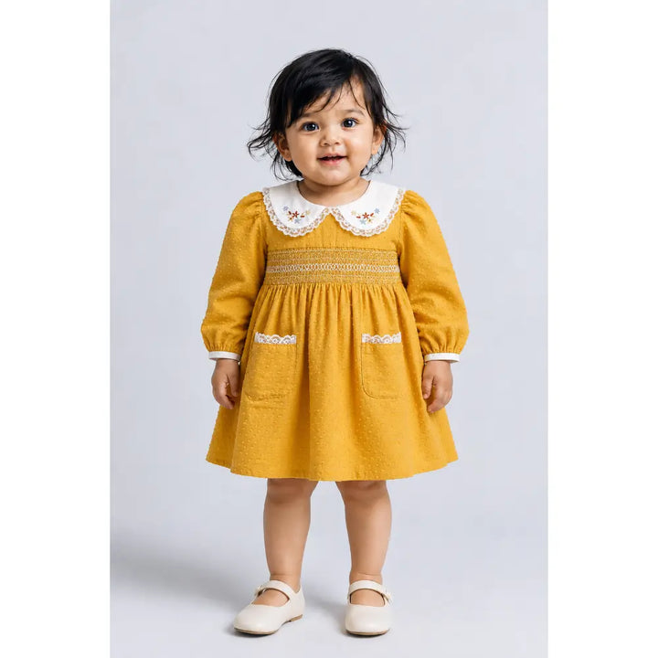 Pattuti Sustainable Dobby Cotton Dress With Embroidered Lace Collar For Girls