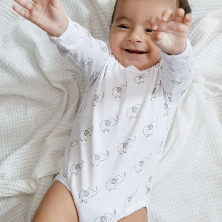Cotton Bug Full Sleeves Romper - Set of 3 - Elephant