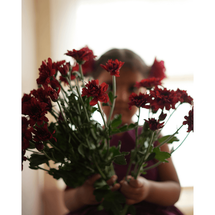 Love The World Today Anagha Sharara Coord Set - Purple