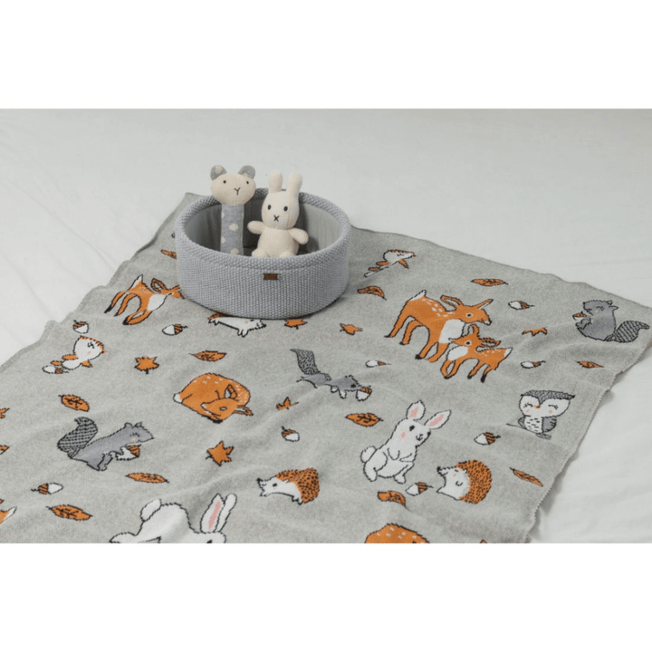 Pluchi Bunny Gift Basket (0 to 18 Months) - Set of 4
