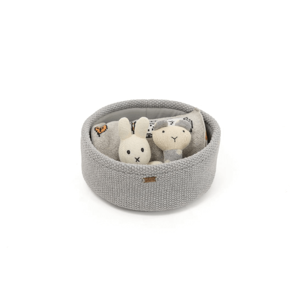 Pluchi Bunny Gift Basket (0 to 18 Months) - Set of 4
