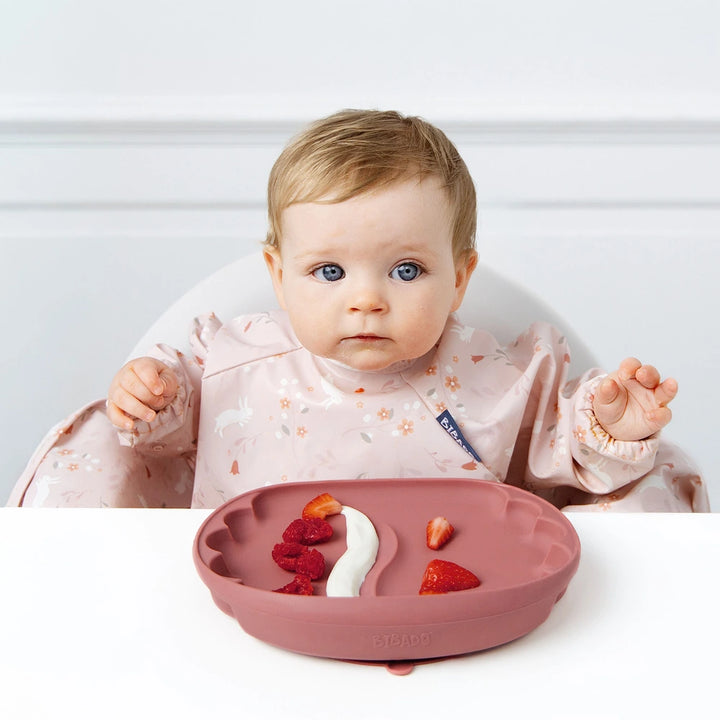 Bibado Learning Curve Weaning Plate – Blush