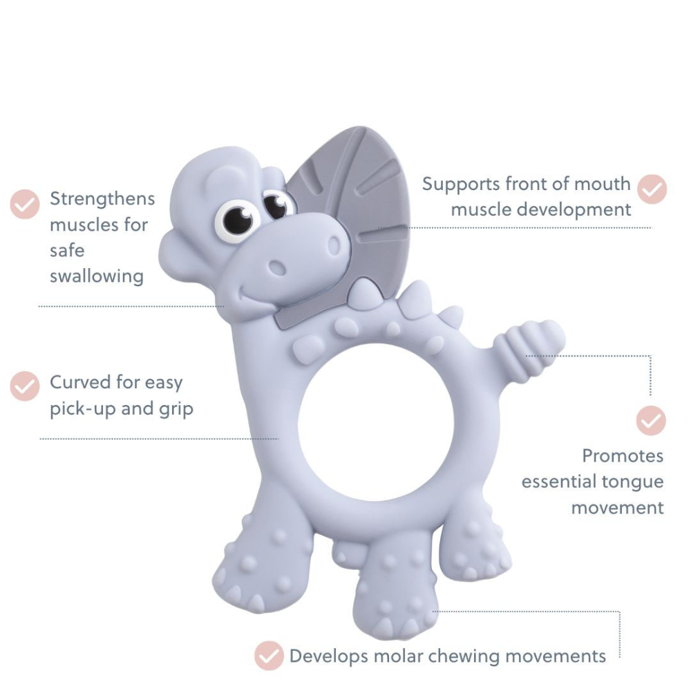 BiBaDo Dotty the Dinosaur Silicone Teether