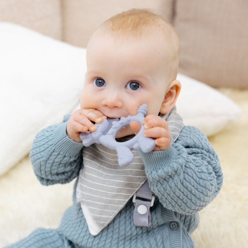 BiBaDo Dotty the Dinosaur Silicone Teether