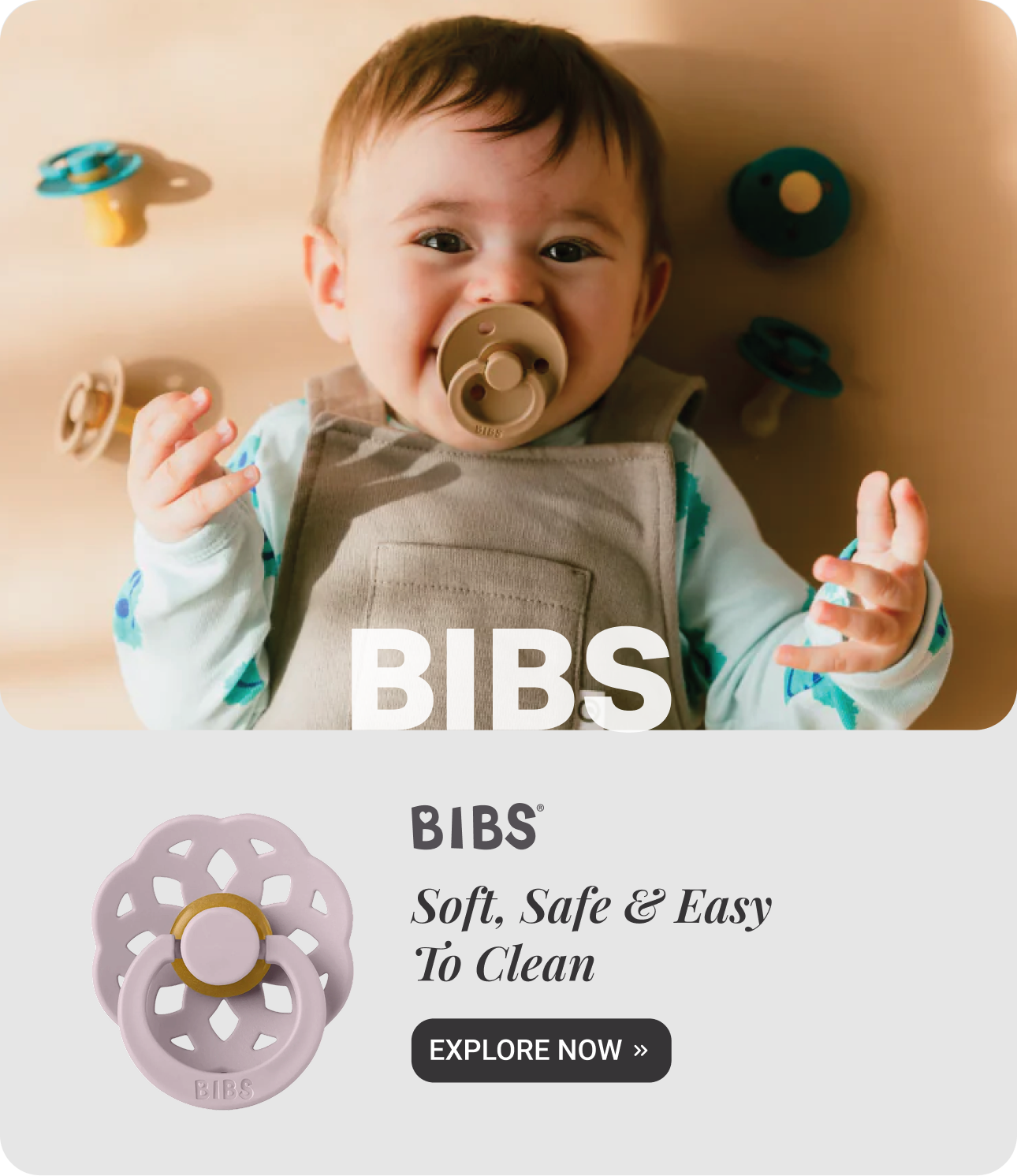BIBS_Main-Banners_10June26