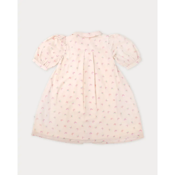 Early Sunday Jane Dress - Butterflies Print