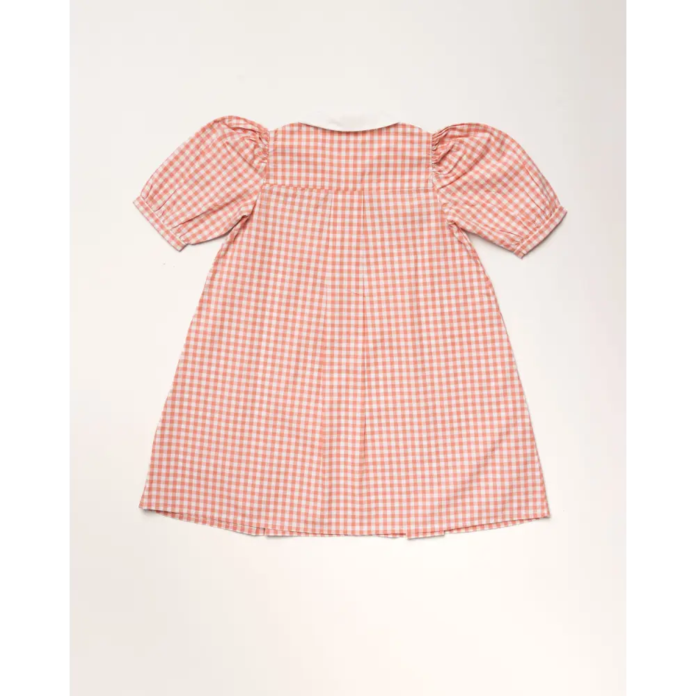 Early Sunday Jane Dress - Peony
