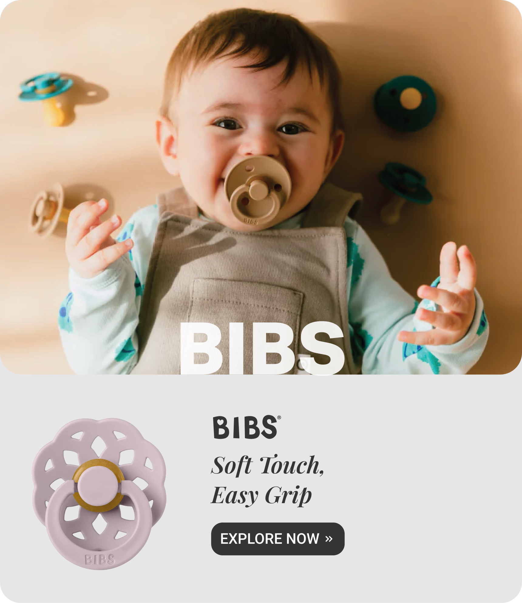 BIBS_Main-Banners_23July26
