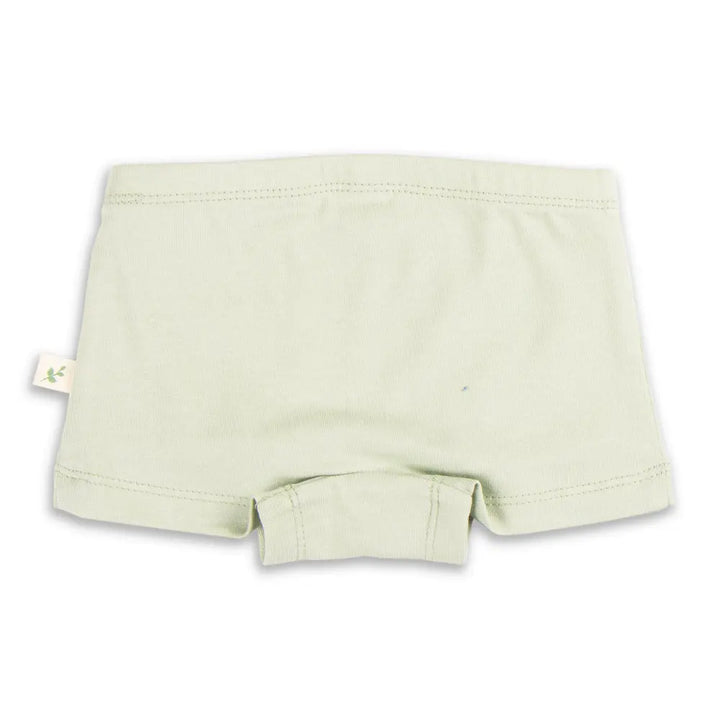 Tiny Twig Organic Baby Bottoms - Sage
