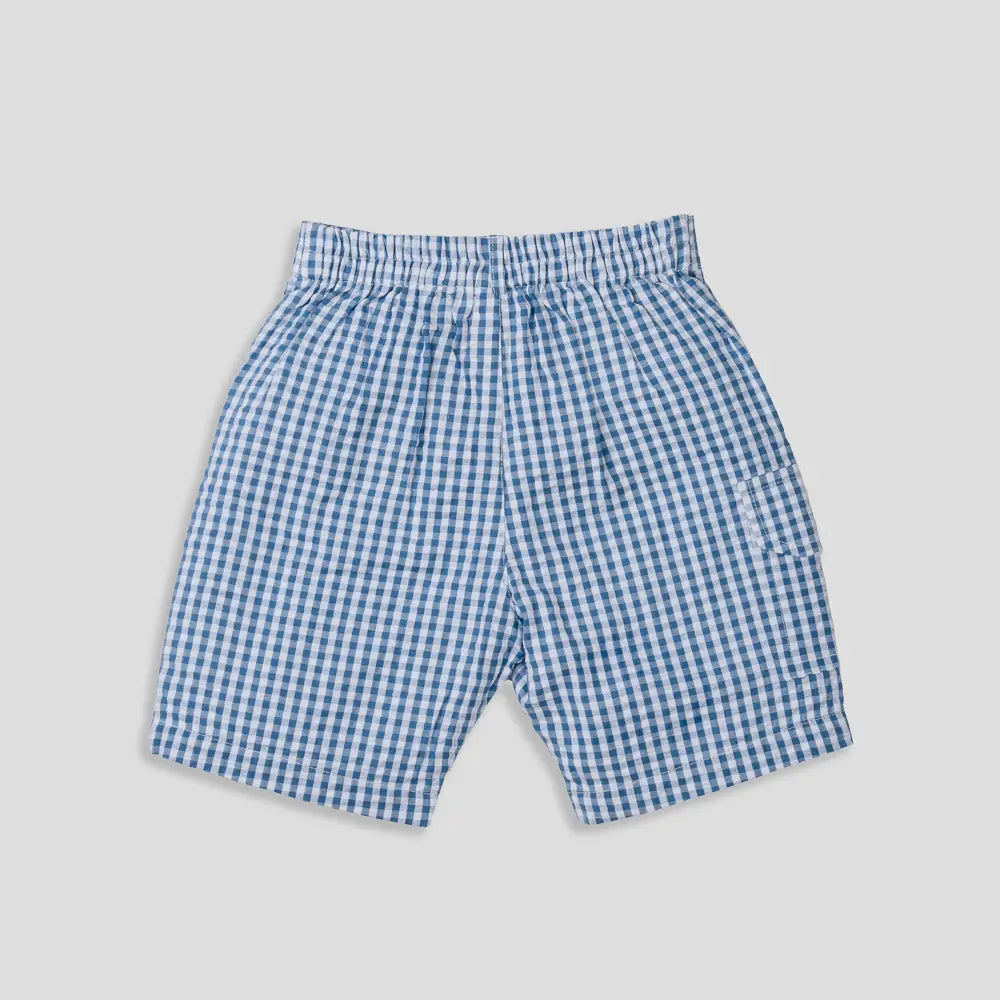 Tiny Twig Blue Gingham Boys Shorts