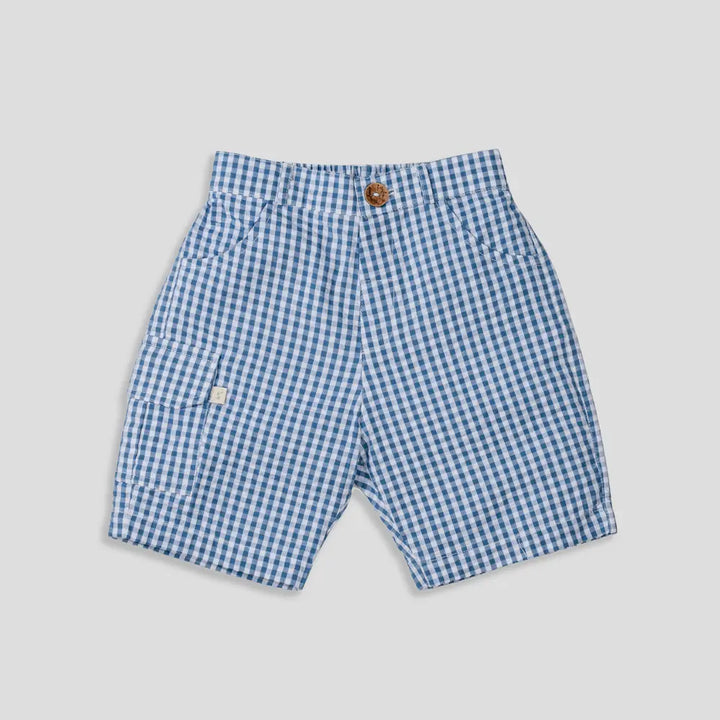 Tiny Twig Blue Gingham Boys Shorts